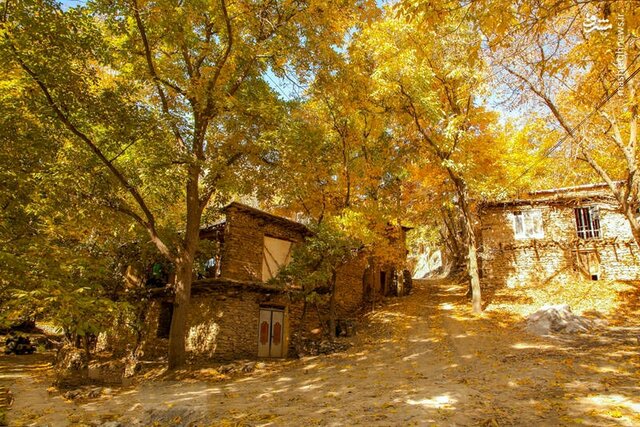 سفری رؤیایی در دل پاییز