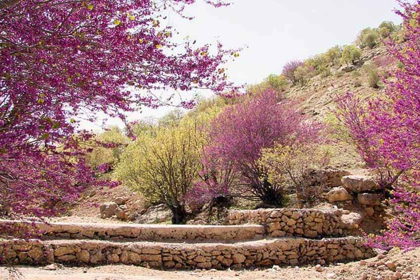 تور چهار روزه ایلام ویژه تعطیلات خرداد 11 خرداد