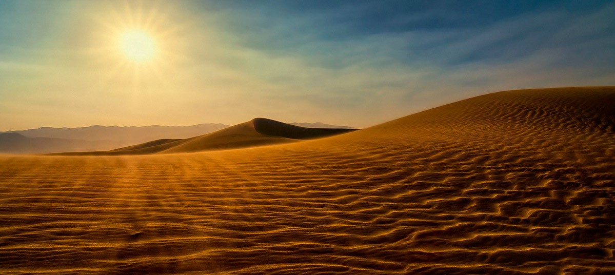 تور یزد کاراکال ۲۰ بهمن