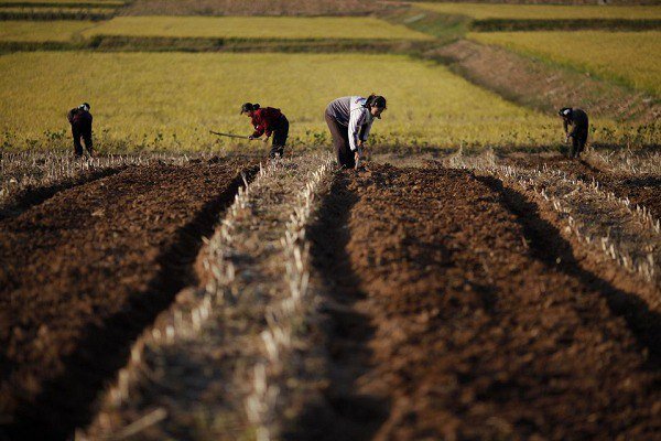 نقش گردشگری در مقابله با تخریب سرزمین