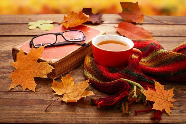 ۵ پیشنهاد برای سفر پاییزی لذت‌بخش