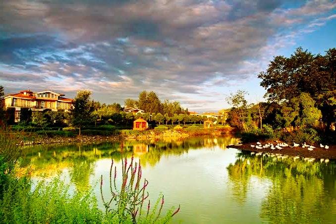 جاذبه های “چمخاله” زیباترین ساحل توریستی گیلان