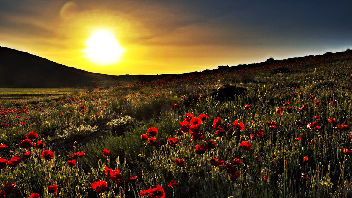 تور 4 روزه سرعین و اردبیل از تهران 26 تیر 1403