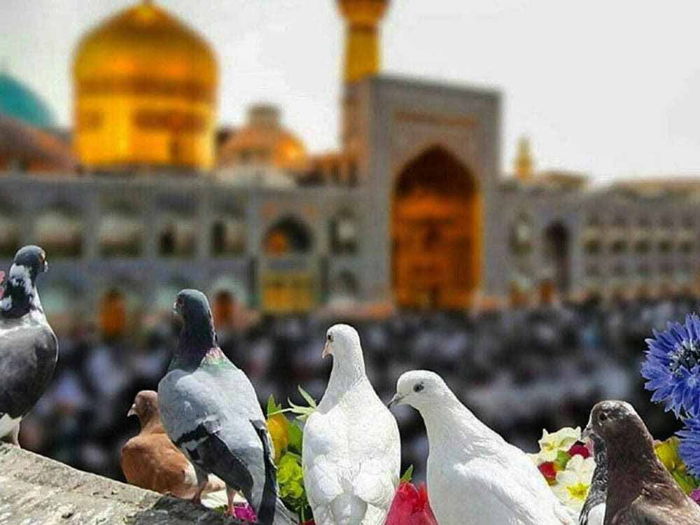 رتبه اول خراسان رضوی در گردشگری مذهبی، سلامت و فرهنگی