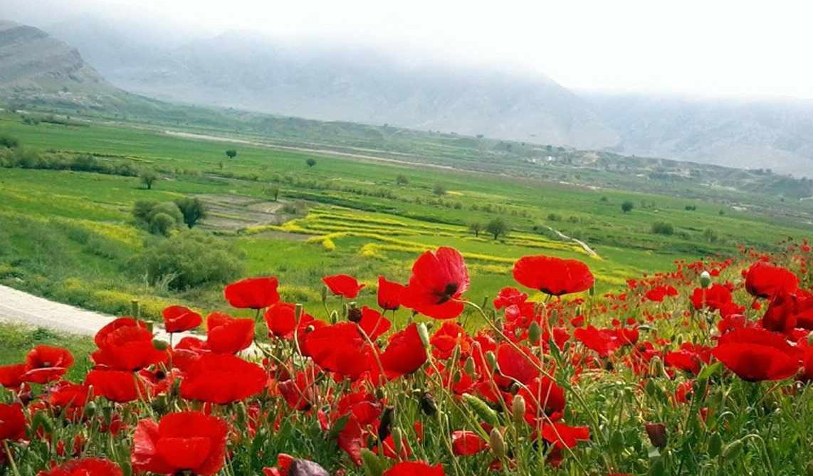 تور ایذه و دشت سوسن 5 فروردین