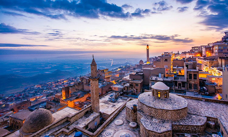 تور زمینی وان ویژه کریسمس