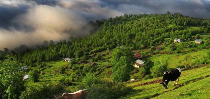 تور محمود آباد مازندران 11 اردیبهشت